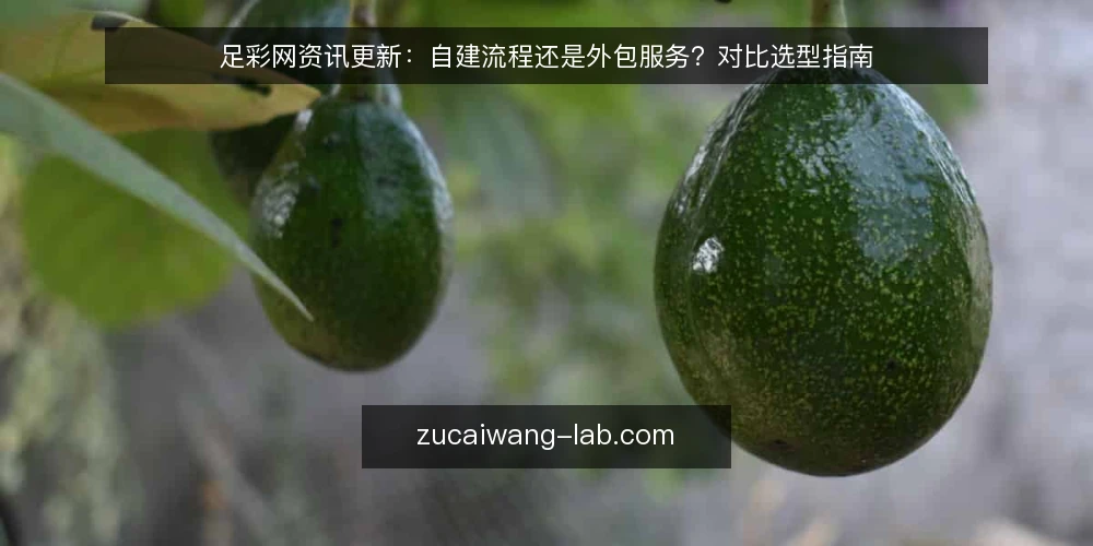 足彩网资讯更新:自建流程还是外包服务?对比选型指南 — 明确决策标准:更新频率、成本与可控性 配图
