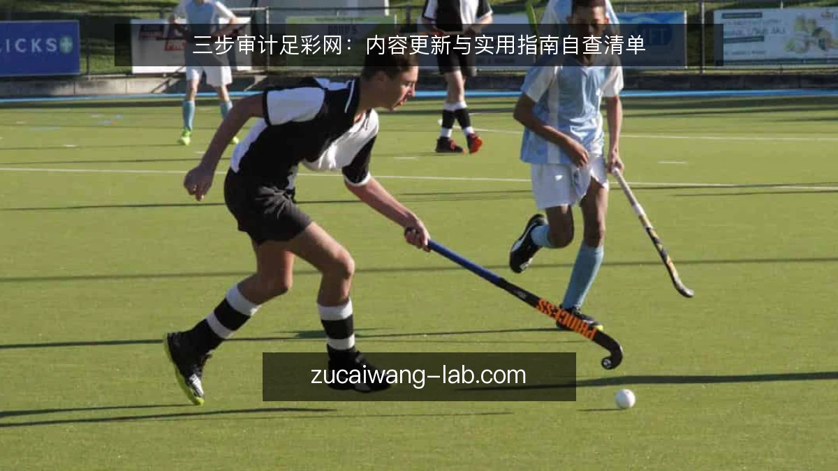 三步审计足彩网:内容更新与实用指南自查清单