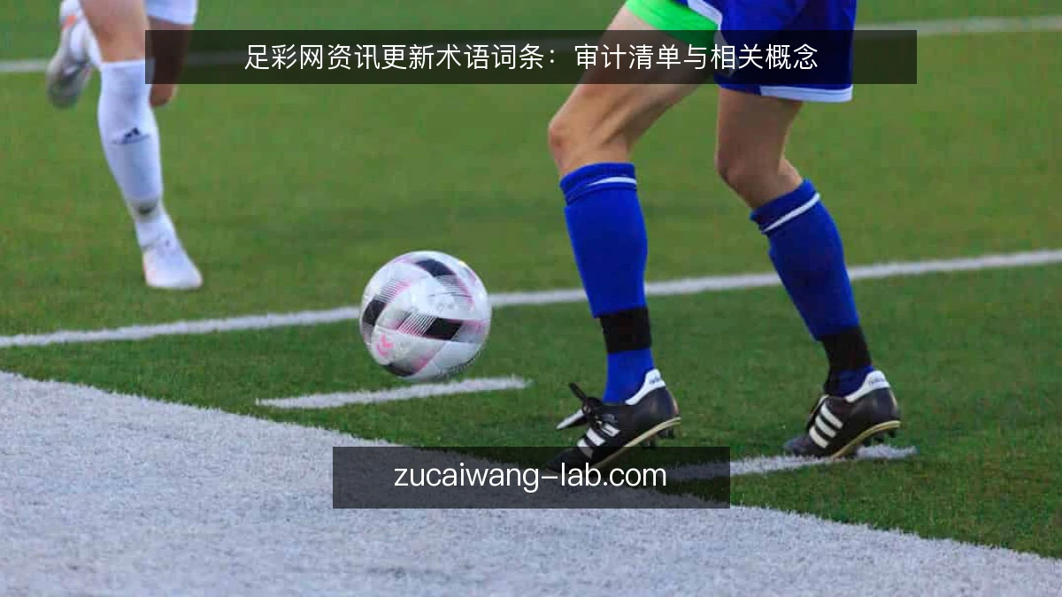 足彩网资讯更新术语词条:审计清单与相关概念